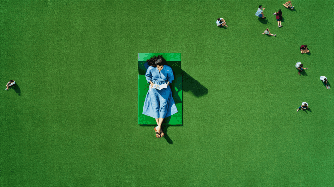 gazon synthetique